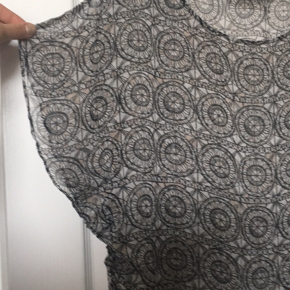 🔴 LAST CHANCE! 🇺🇸 The Limited Flutter Sleeve Sheer Top - Picture 3 of 4